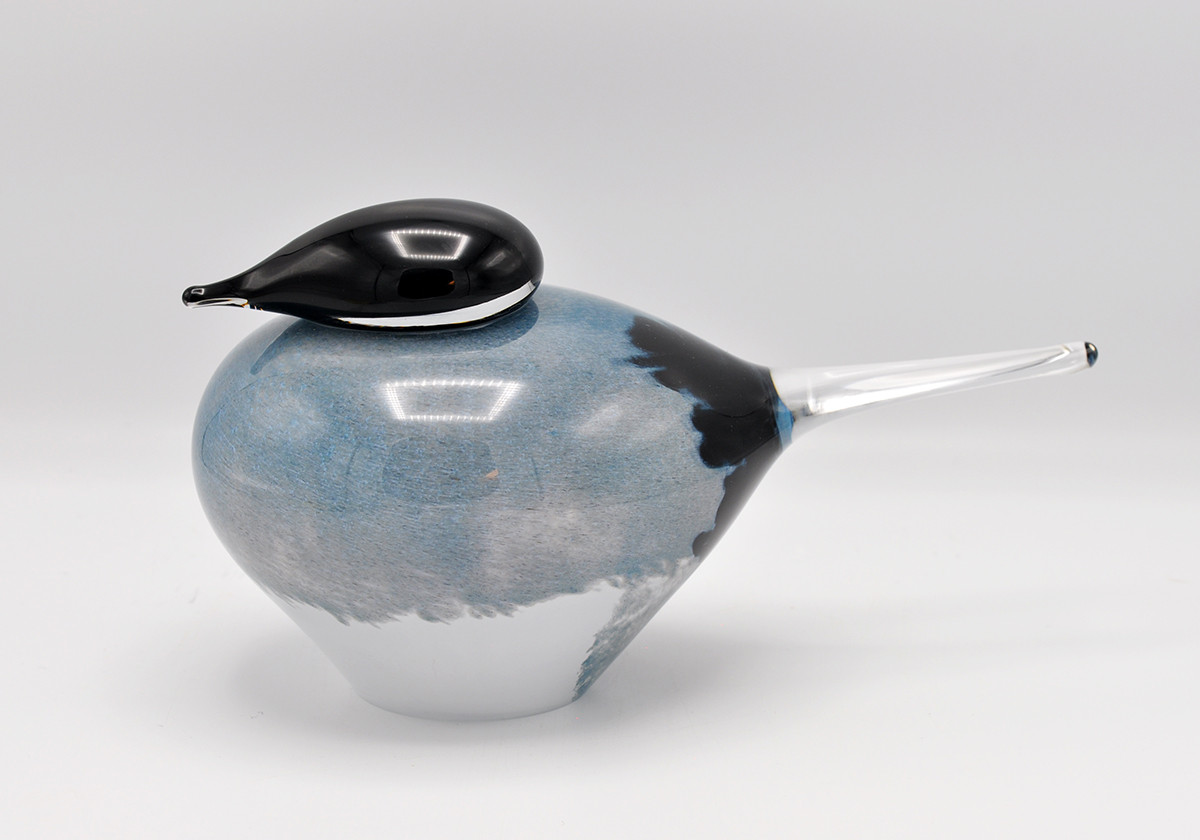 Loranto + Blue Jay, vogel large